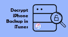 Decrypt iPhone Backup in iTunes