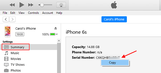 find serial number in iTunes