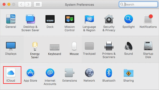 Open iCloud in System Preferences window