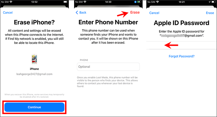 enter Apple ID password and tap Erase