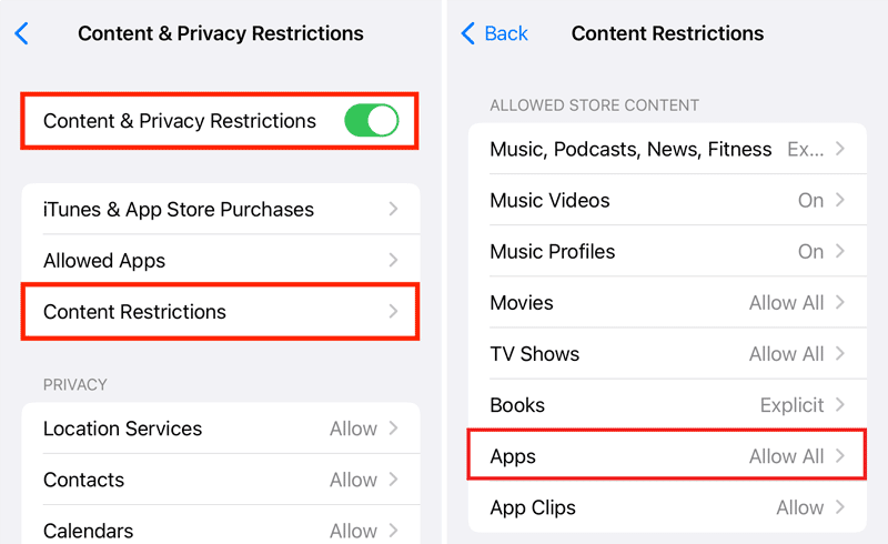 check content and privacy restrictions