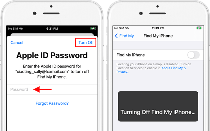 enter Apple ID password and tap Turn off
