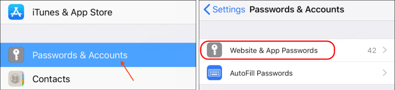 View saved password in iOS 13