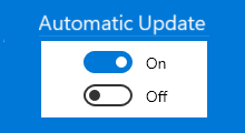 enable automatic updates for Windows update
