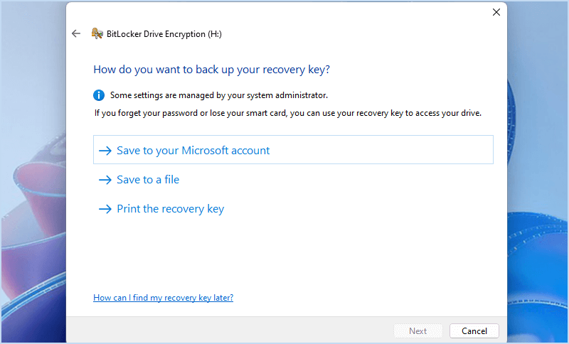 choose a location to back up recovery key
