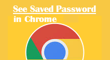 See save passwords in Chrome