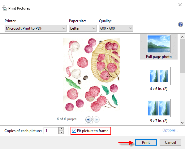 Click Print to create your PDF file