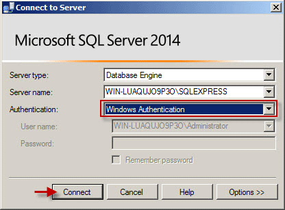 Select Windows Authentication to login SQL Server