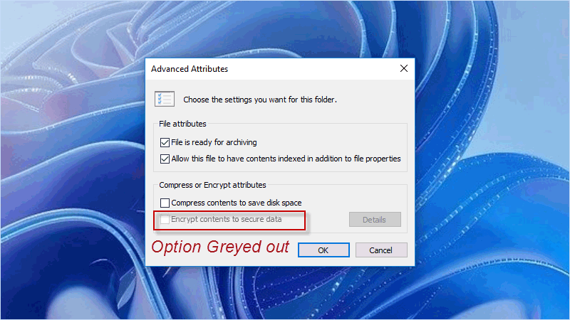 fix "can't encrypt folder windows 10" issue