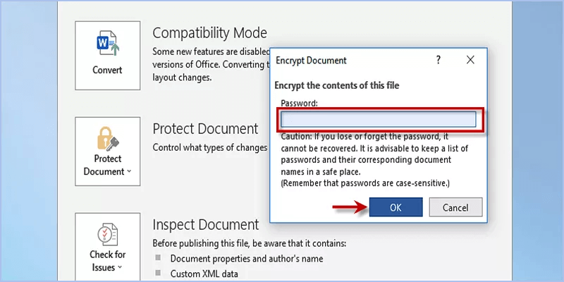 enter a password to protect document file in Word