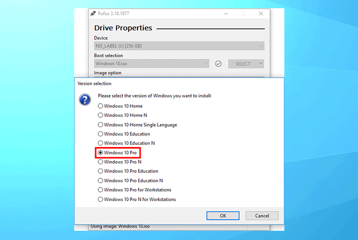 select the version of Windows 10