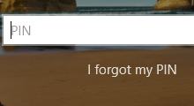 remove i forgot my pin from Windows 10 sign-in screen