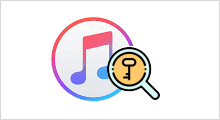 Recover Forgotten iTunes Backup Password