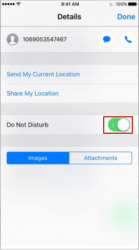 Enable Do Not Disturb on Message app