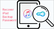 Forgot iPad Backup Password | Recover iPad Backup Password in iTunes