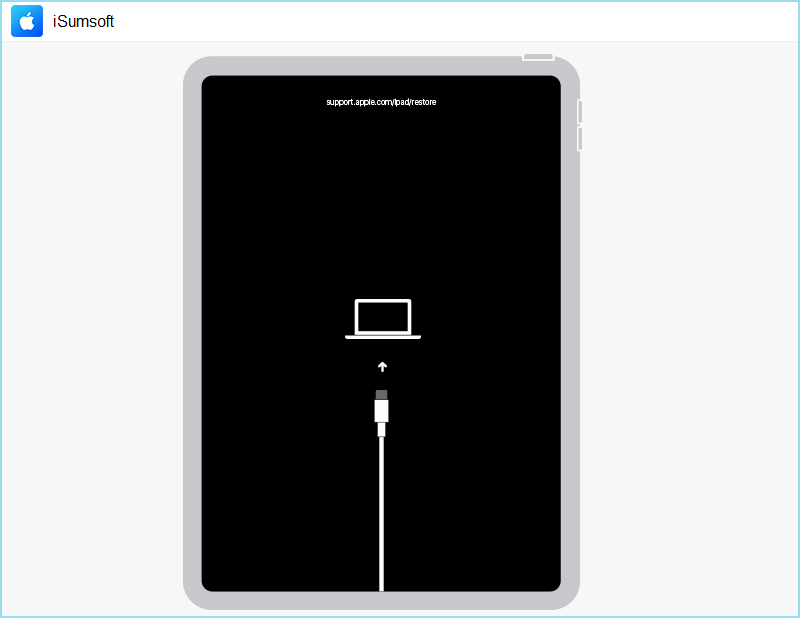 put iPad into recovery mode