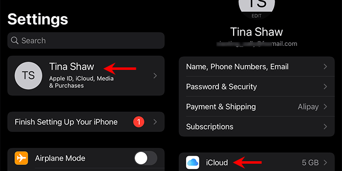 tap Apple ID name and tap iCloud