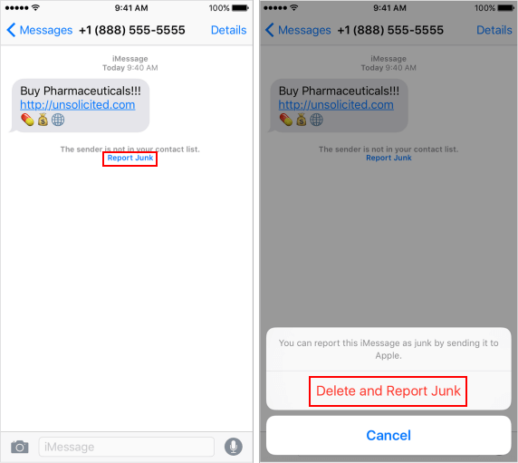 Report spam or junk message to Apple