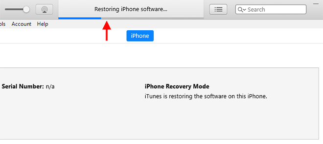 restoring iPhone