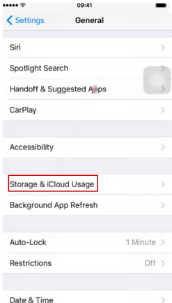 Storage & iCloud Usage