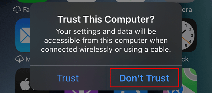 tap Trust on iPhone