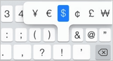 Type Special Characters