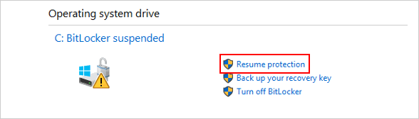 Resume Protection