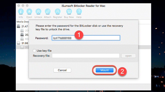enter password and click Mount