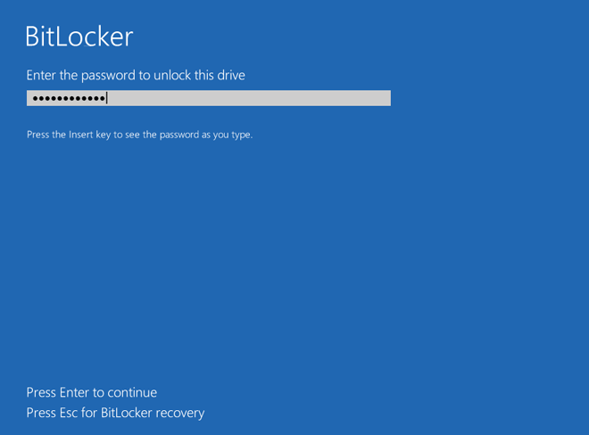 enter BitLocker password