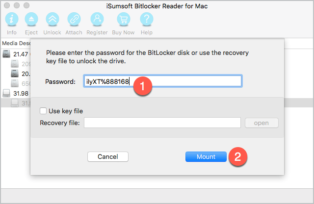 enter password and click Mount