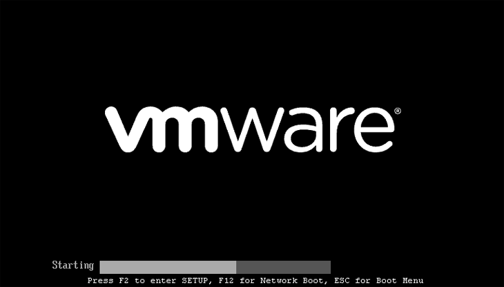 Access the Boot Menu during VMware startup