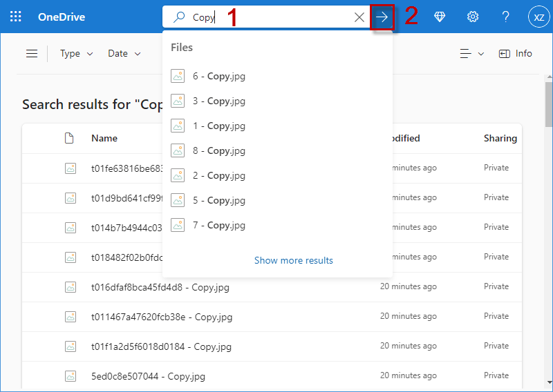 find duplicate file on OneDrive with OneDrive search