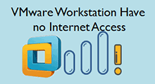 Vmware workstation has no internet access
