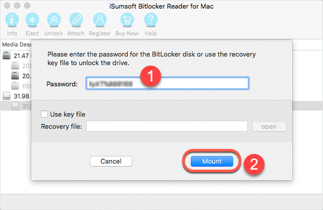 enter password and click Mount