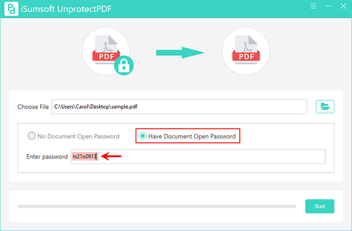 enter document open password