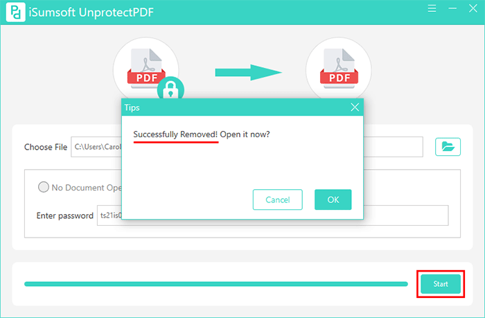 successfully removed PDF permissions password