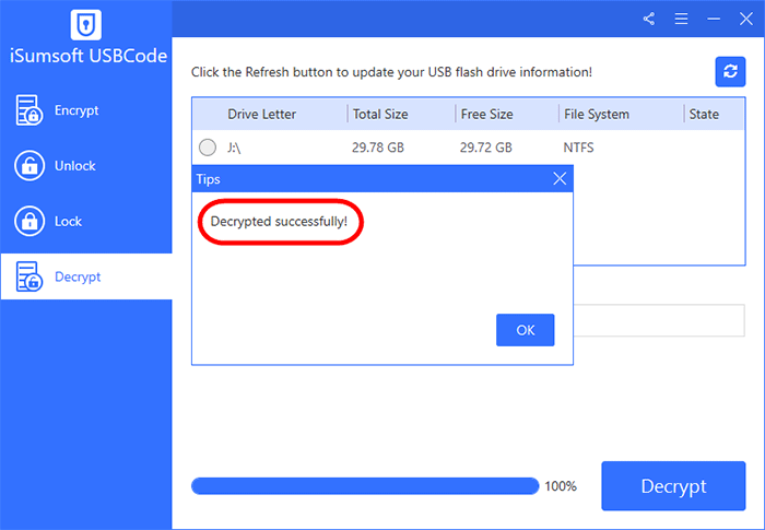 decrypted USB flash drive