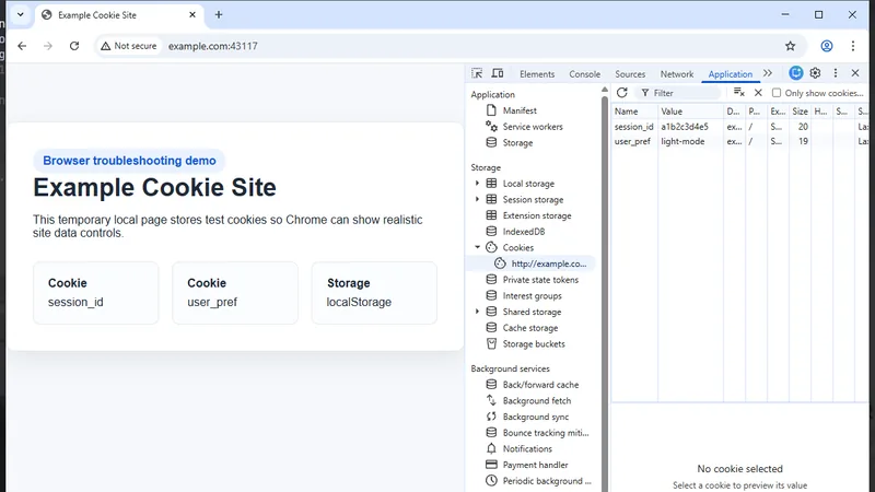 Chrome DevTools Application tab showing cookies for a specific website