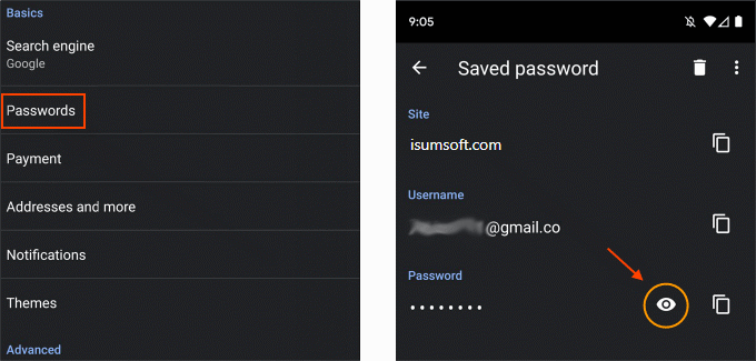 Password and show button in Chrome settings