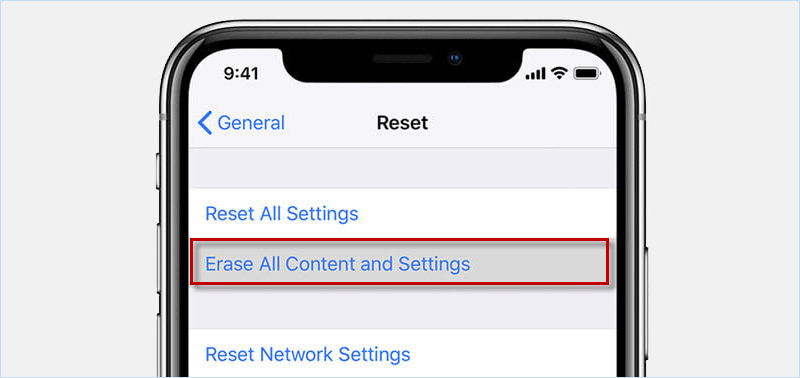 Completely reset iPhone to Fix Pink Line