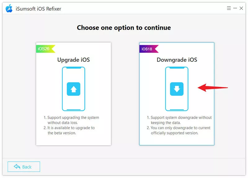 choose Downgrade iOS