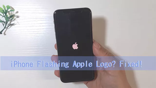 How to fix iPhone flashing Apple logo