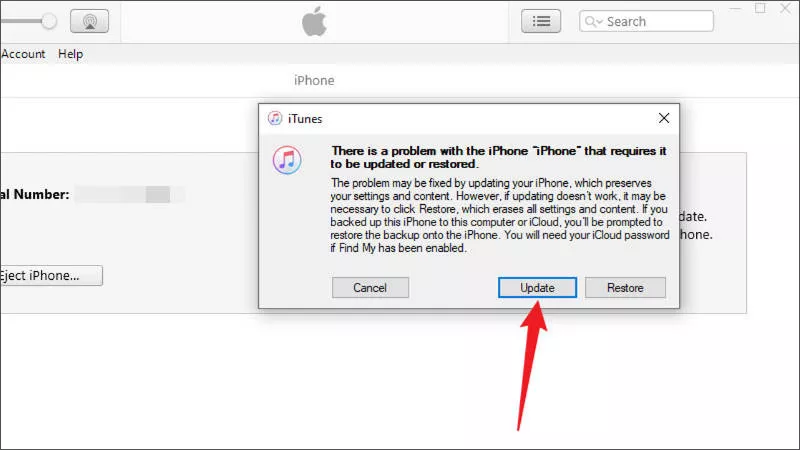 choose Update in iTunes