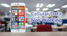 iPhone cellular data not working