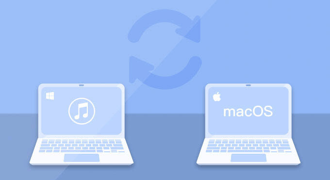 update iTunes or macOS