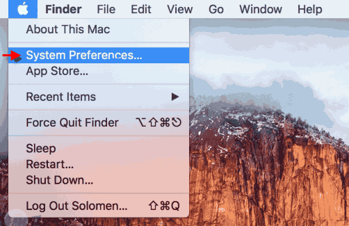Open System Preferences