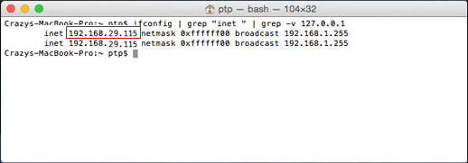 Reveal local IP address