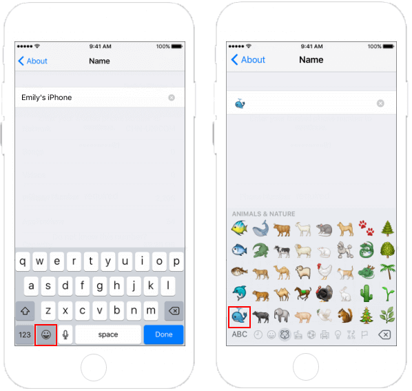 Change the name of iPhone/iPad