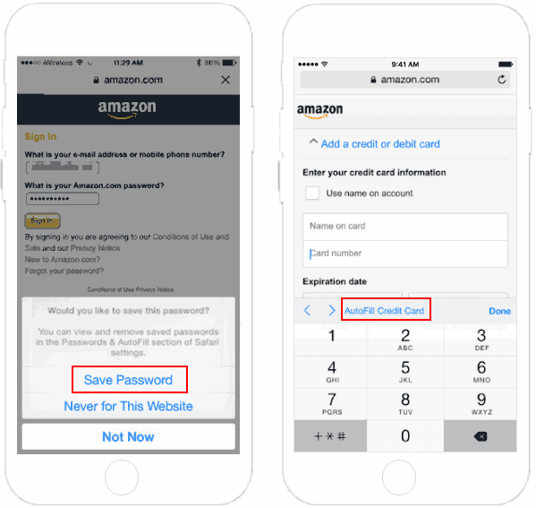 Use Autofill for Passwords and Credit Cards