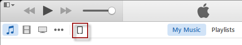 iPhone/iPad device button